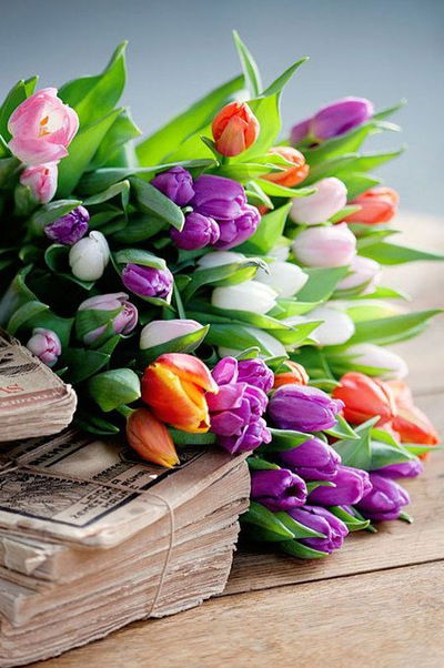 Полина Бурмистрова