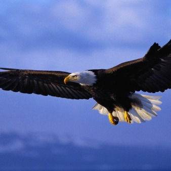 Вячеслав Болботович