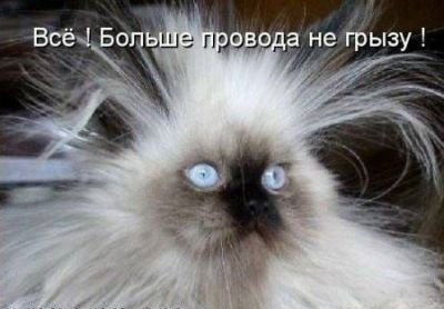 Ольга Калентьева