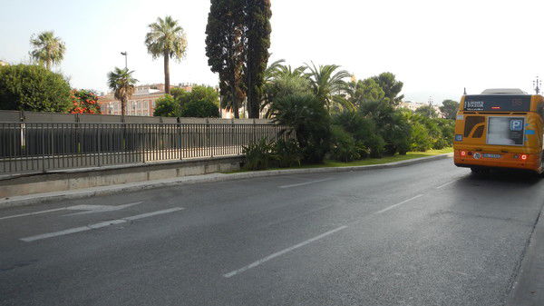 Анна Левина