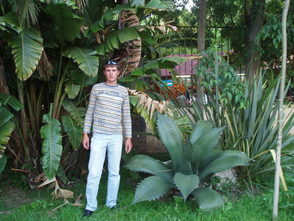 Александр Грицик