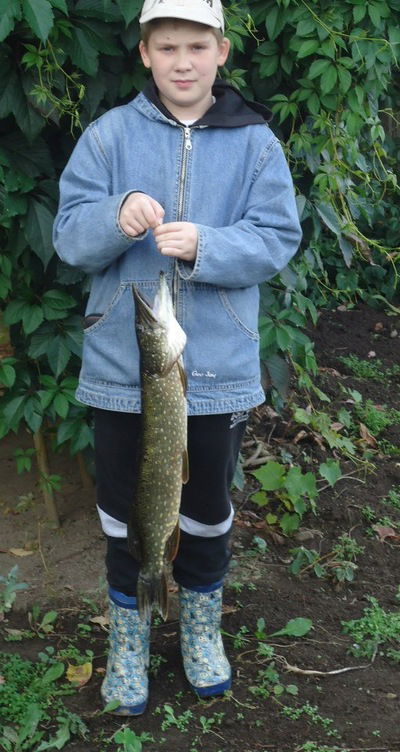 Андрей Комендантов