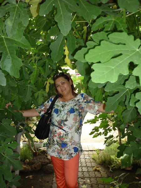 Гульмира Джаксылыкова