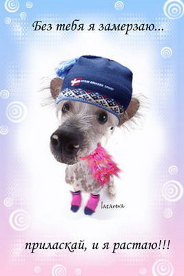 Марго Иванова