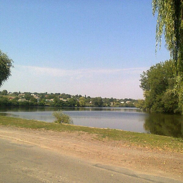 Саша Мовчанюк