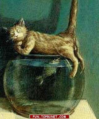 Андрей Сергеевич *