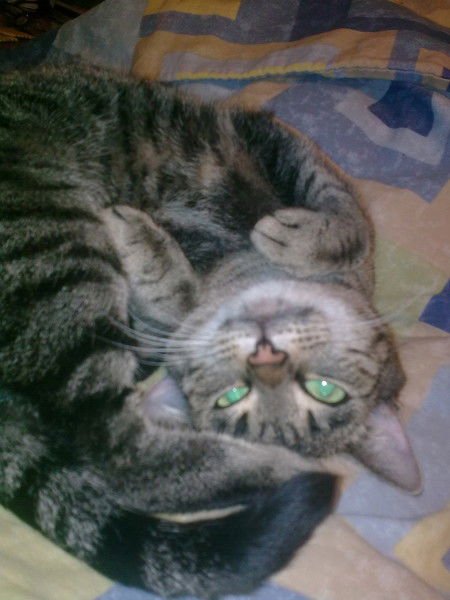 Ольга Маркова