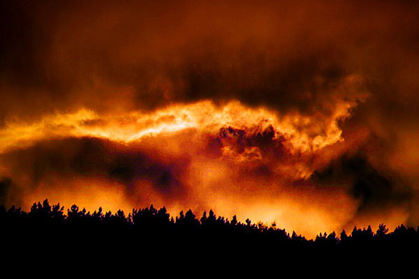 Дмитрий Головин