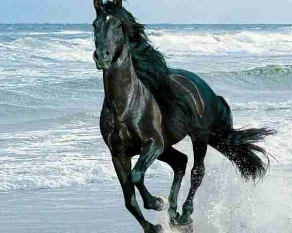 Дамирбек Адынов