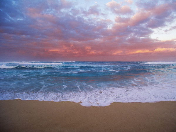 Дана Кузьмина