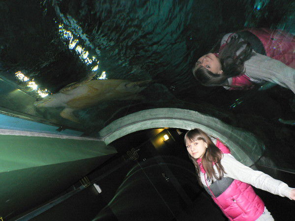 Кристина Свиридова