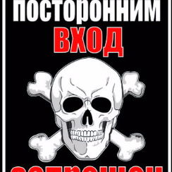 Елена Жаркова