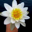 Татьяна Громыко