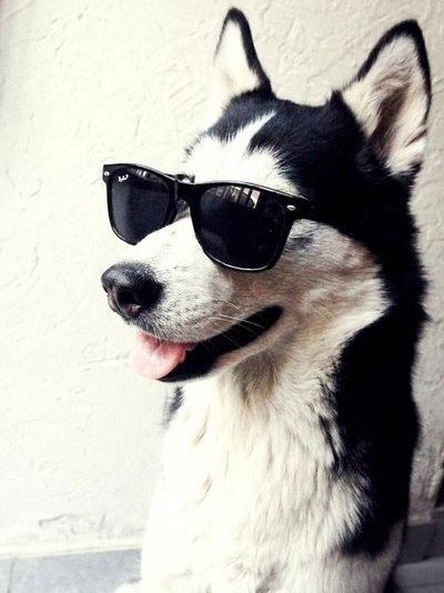 Анастасия Алексеева