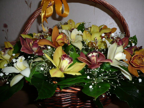 Ольга Фролова