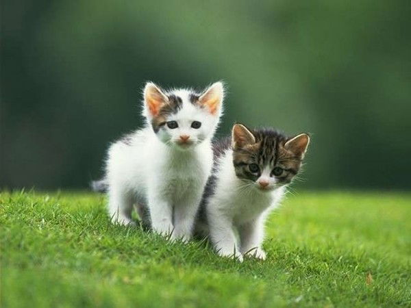 Марина Кравченко