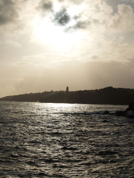 Александр Шуляк