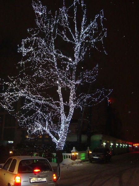 Марианна Яловенко