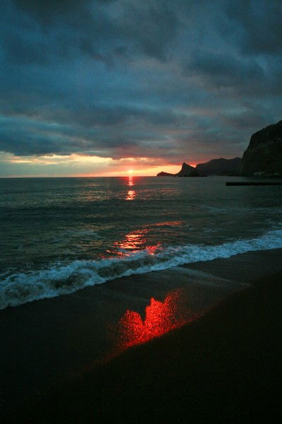 Светлана Новикова