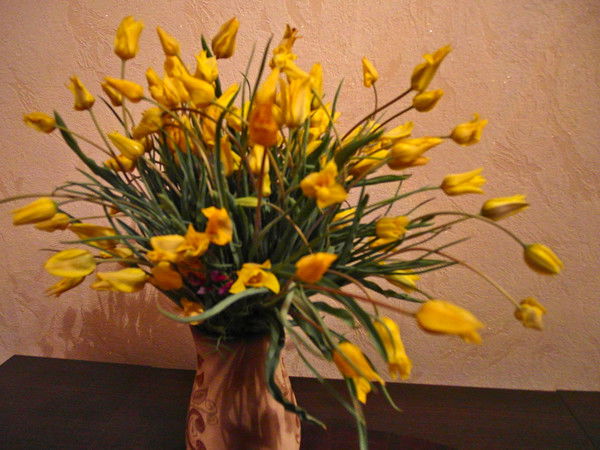 Галия Сатаева