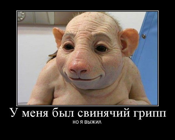 Вадим Калугэреску