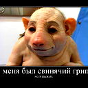 Вадим Калугэреску