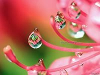 Волкова Марина