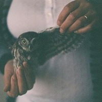 Яна Вершинина