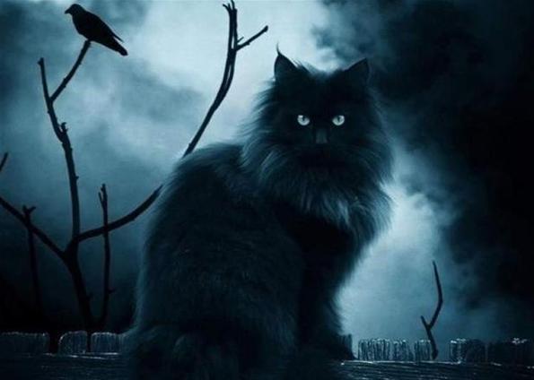 Сергей Николаенко