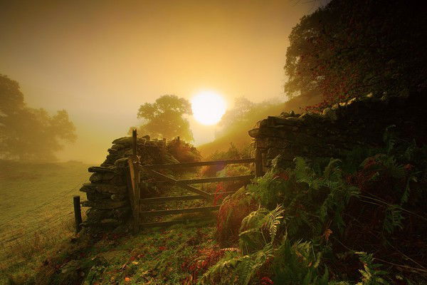 Геннадий Букин