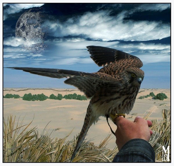 Татьяна Щербацевич