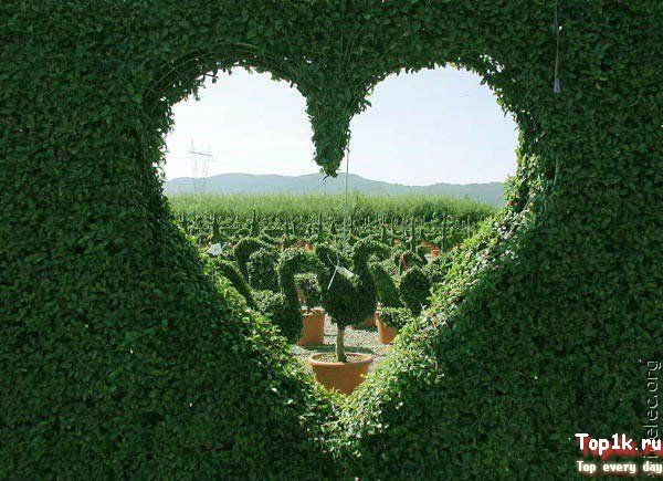 Гузи Id175248373 Достанова