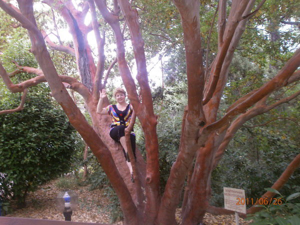 Елена Надеждина