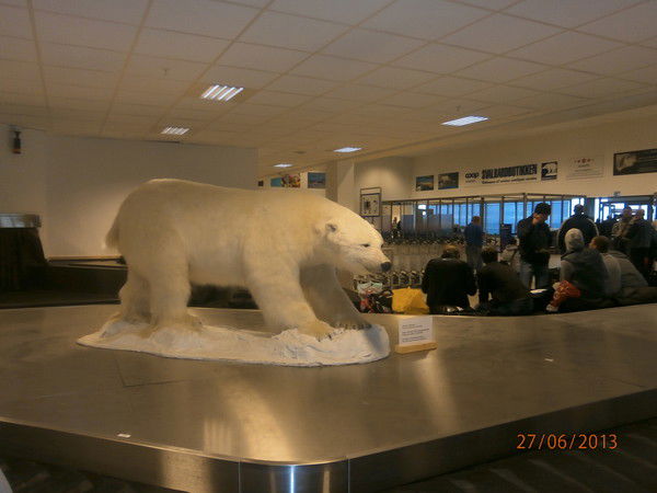 Анатолий Гостевский