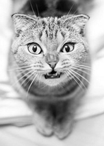 Олег Марков