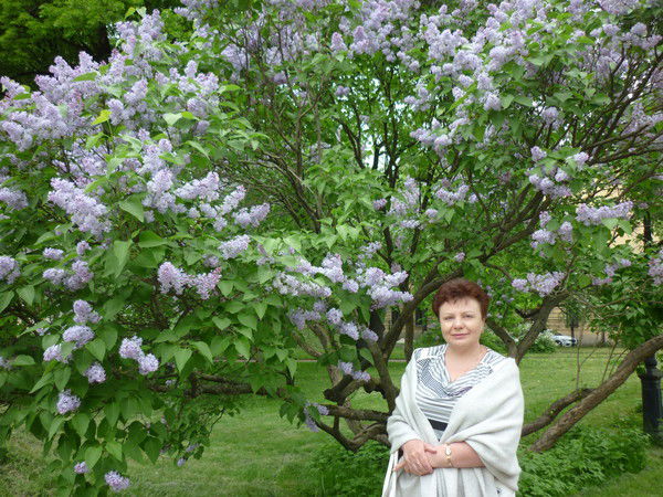 Наталья Шмакова