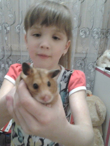 Елена Десятова