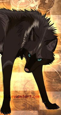 Настя Вычегжанина