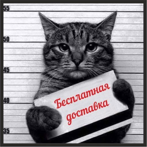 Мой Питомец Доставка