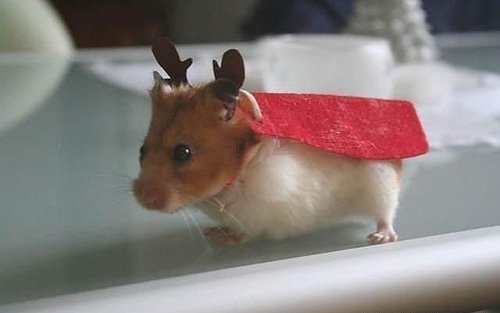 Канат Абенов