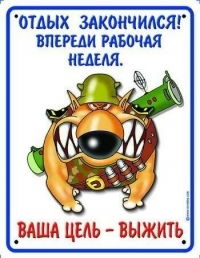 Алексей Сорокин