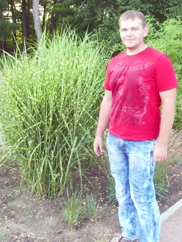 Александр Миц