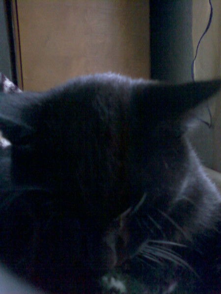 Наталья Урбах