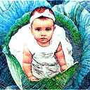 Елена А