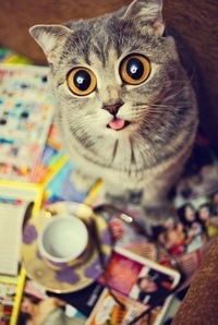 Наташа Буланова