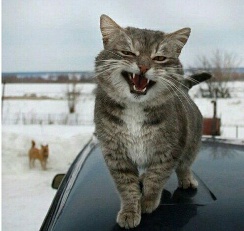 Нина Маталыга