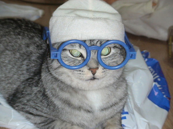 Василий Смирнов