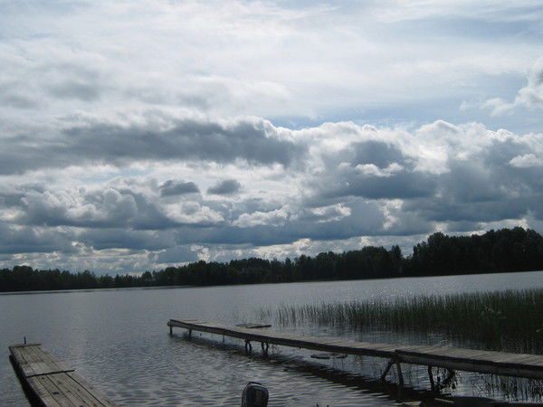 Елена Касаткина