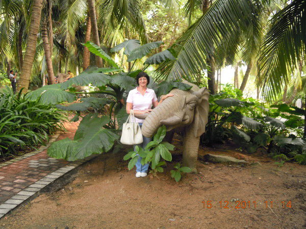 Наталья Скосырева