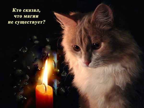 Таисия Ковалькова